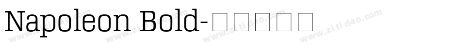 Napoleon Bold字体转换